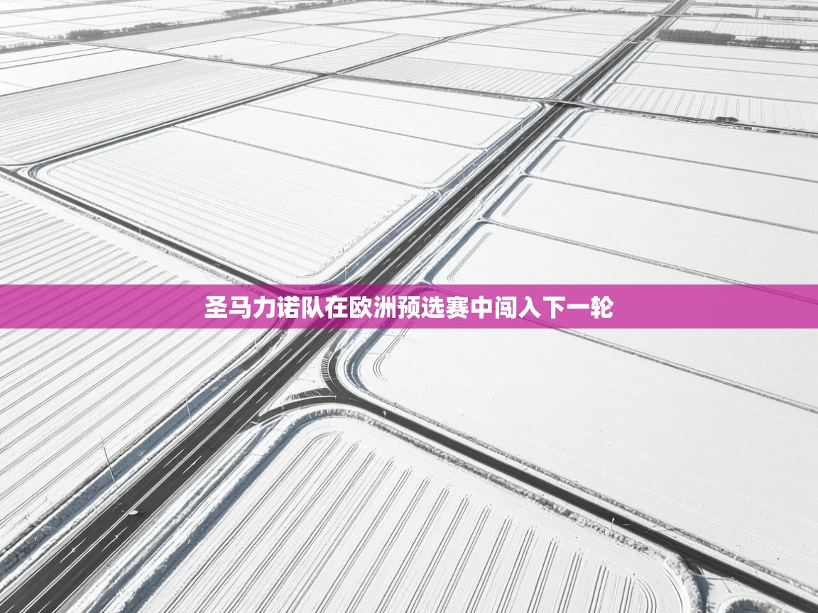 圣马力诺队在欧洲预选赛中闯入下一轮 第1张