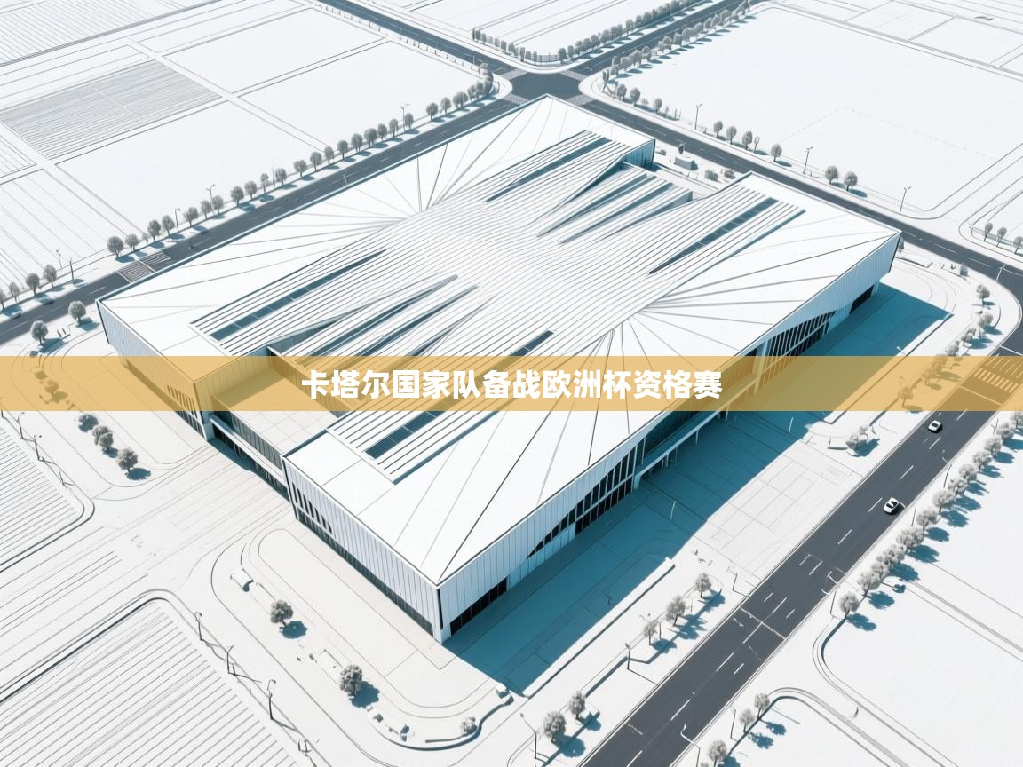 卡塔尔国家队备战欧洲杯资格赛  第2张