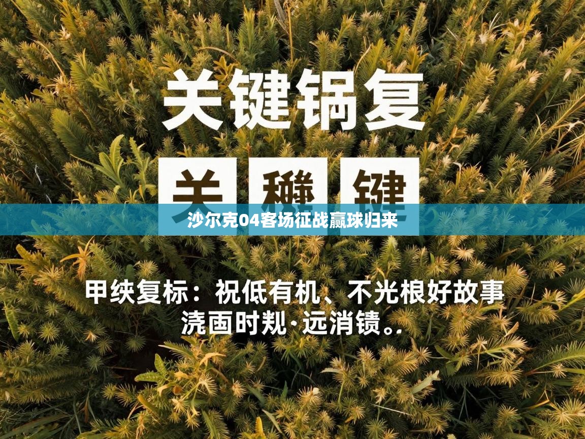 沙尔克04客场征战赢球归来  第2张