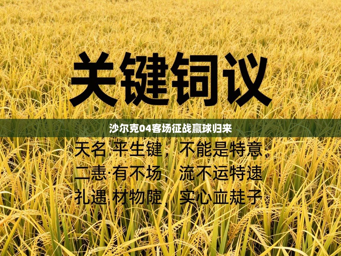 沙尔克04客场征战赢球归来  第1张